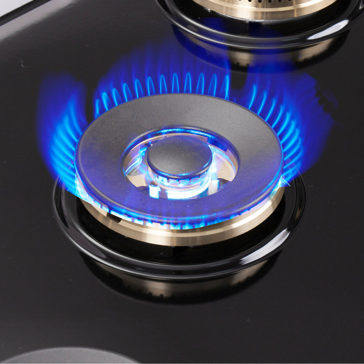 FFSGS6387-30 Sealed Dual-Output Burner Flame
