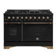 Dual_Fuel_FFSGS6113-48BLK_V1_Front_Main_Picture_2024-11-26