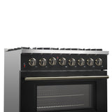 Dual_Fuel_FFSGS6156-36BLK_V1_Left_Angle_Controls_2024-12-12