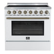 Electric-Range_FFSEL6011-36WHT_V1_1_Front-Main-Picture_04-03-2025