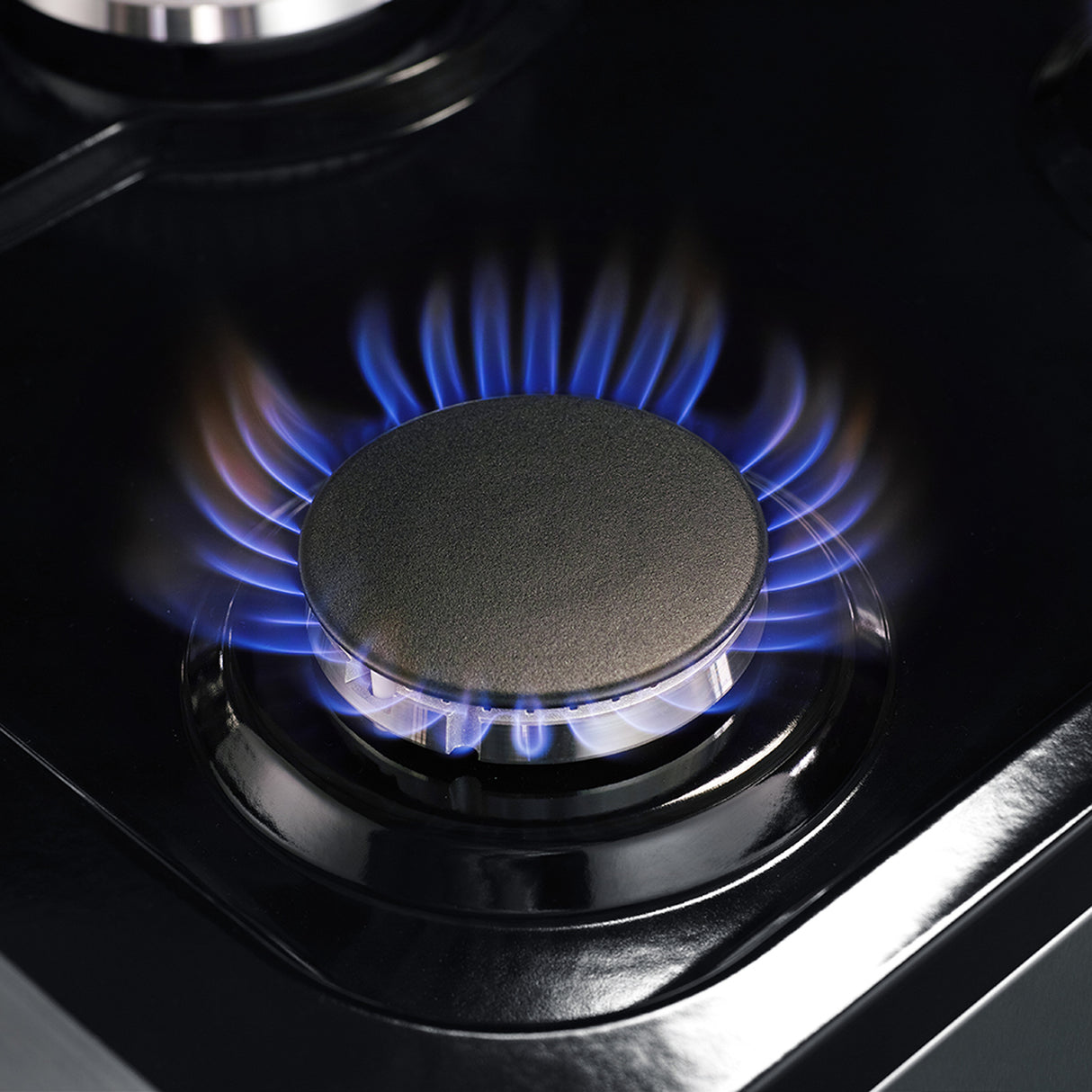FFSGS6125-48_Rapid-burner-flame_23