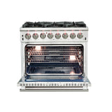 FFSGS6187-36 Front Light Open