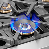 FFSGS6387-48-Dual-Output-Burner
