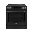 FFSIN0905-30BLK-espresso-leonardo-induction-range-front-antique-brass