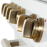 FFSIN0982-30WHT-Leonardo-30-inc-Induction-Range-Whiteel-Close Up on Knob-AB