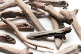 Evolve_Driftwood Media_300dpi