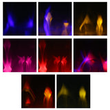 SIL_ColorTheme_FLAME_300dpi